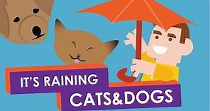 Why do we say: It's Raining Cats and Dogs?