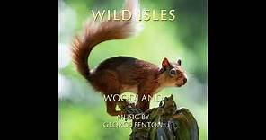 Wild Isles - Woodland - Music from the Original TV Series