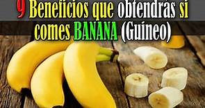 9 Beneficios que obtendrás si comes BANANA (Guineo)