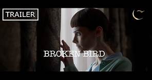 Unveiling the Mystique of 'Broken Bird': A Journey with Joanne Mitchell’s Film