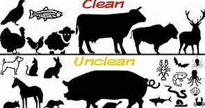 Deeper meaning of Clean and Unclean Animals