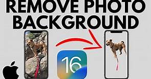 How to Remove Background from Photo on iPhone - iOS 16 Remove Background from Image