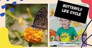 Life cycle of a butterfly lesson for kids - Wheel of life of a butterfly animated lesson for kids