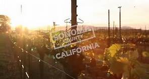 Travel Guide Sonoma County, California - Seasons of Sonoma County
