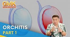 Orchitis: What Is It, Causes, Symptoms, and Treatment (Part 1) | Usapang Pangkalusugan