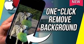 How to Remove Background from a Photo on iPhone - New iOS 16 Update