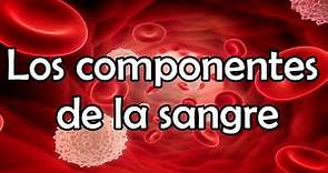 Los componentes de la sangre