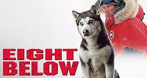 Eight Below 2006 Movie | Paul Walker, Bruce Greenwood, Moon Bloodgood Jason | Review And Facts