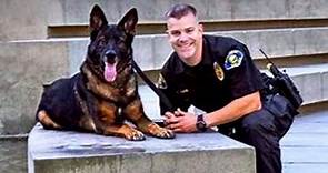 Police Dog Shot in Line of Duty Reunited with Cop | Good Morning America | ABC News