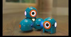 Meet Dash & Dot Robots for kids ages 6+ | Wonder Workshop