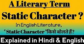 What is a Static Character ? | Static Character in English literature | Static Character Examples