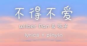 [lyrics/pinyin/engsub]《不得不爱》- Wilber Pan & 弦子 [bu de bu ai]