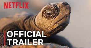 OUR PLANET II | Official Trailer | Netflix