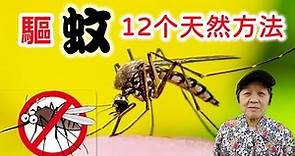 驱蚊12个妙招，院子蚊虫一驱而光，防蚊植物不可少，美观又实用 12 Tips for mosquito repellent
