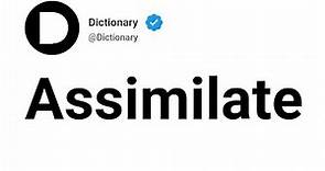 Assimilate Meaning In English