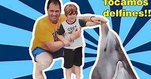 MARINELAND Cataluña | 1 día con los delfines y parque acuático 🐬