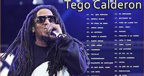 Tego Calderon - Exitos Mix Lo MEJOR EXITOS 2021