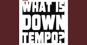 What is Downtempo?