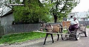 Paard en Wagen Roemenië