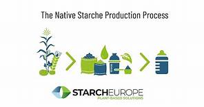 The Native Starche Production Process