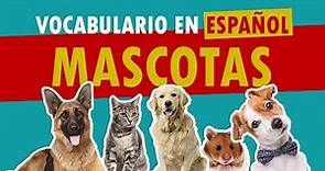 🐶 Vocabulario para hablar de mascotas en español 🐱
