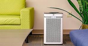5 Best Air Purifier To Buy in Amazon 2019