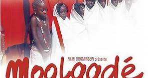 Ousmane Sembene Moolaadé Film Explained Analysis Summary