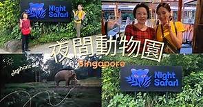 新加坡夜間動物園全攻略 ▌要幾點去? 從哪個地鐵站去? 怎麼轉搭接駁車? 超完整的時間規劃表，跟著我走就對了！Night Safari