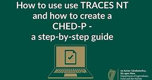 How to use TRACES NT and how to create a CHED-P - six-minute step-by-step guide