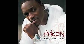 Akon - Sorry, Blame It on Me (Audio)