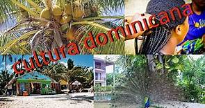 Explorando la historia y tradiciones de la cultura dominicana