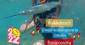 El Mejor Acuario natural de Colombia/ Waikiki beach /Bahía concha/#tayrona #santamarta #magdalena
