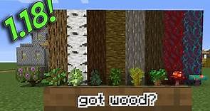 How To Find and Grow EVERY Single Type of Wood in Minecraft! [Survival Mode Tutorial]