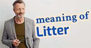 Litter | Definition of litter