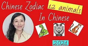 Chinese Zodiac Animals Signs| Learn how to say Chinese Zodiac Signs| 12 animals in Chinese