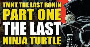 The Last Ninja Turtle: TMNT The Last Ronin Part 1 | Comic Explained