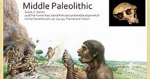 Middle Paleolithic Archaeology