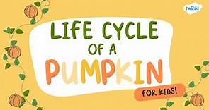 Life Cycle of a Pumpkin for Kids! | Learn About Pumpkins | Twinkl USA