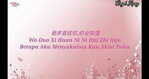 Wo Duo Xi Huan Ni, Ni Hui Zhi Dao - Lyrics
