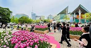 Explore the 2023 Goyang International Flower Festival