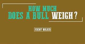 Jeremy Walker: How Much Does A Bull Weigh?