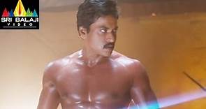Mr.Pellikoduku Movie Sunil Powerful Fight Scene | Sri Balaji Video