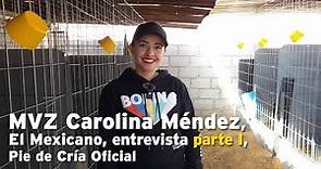 MVZ Carolina Méndez, El Mexicano, entrevista parte I, Pie de Cría Oficial