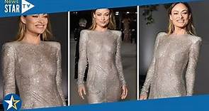 Olivia Wilde dares to go braless in completely see-through dress