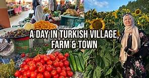 The Life In Turkish Village, Farm & Small Town Kastamonu, Turkey