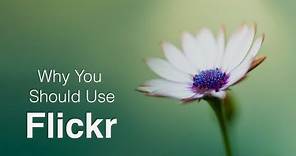 Why You Should Use Flickr!