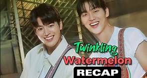 Twinkling Watermelon Ep 2 Recap with Engsub