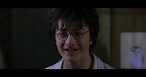 Harry Potter y la Camara Secreta, escena: "Harry se va con los Weasley" Castellano