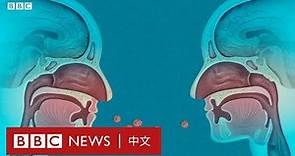 新冠疫情：病毒傳染力驚人 原來跟人體鼻腔有關－ BBC News 中文