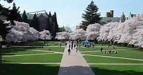 51 clasificaciones de University of Washington  2024